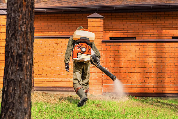 Bed Bug Clearance Verification and Documentation in Mount Sinai